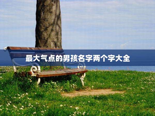 最大气点的男孩名字两个字大全