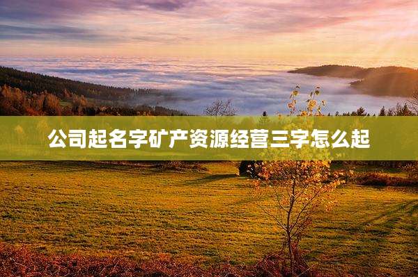 公司起名字矿产资源经营三字怎么起