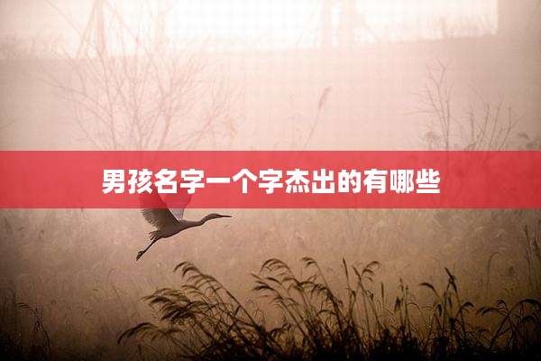 男孩名字一个字杰出的有哪些