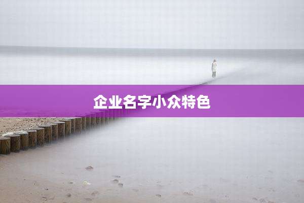 企业名字小众特色