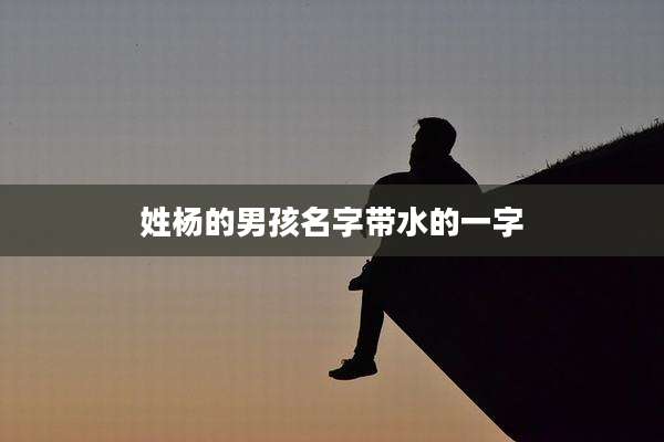 姓杨的男孩名字带水的一字
