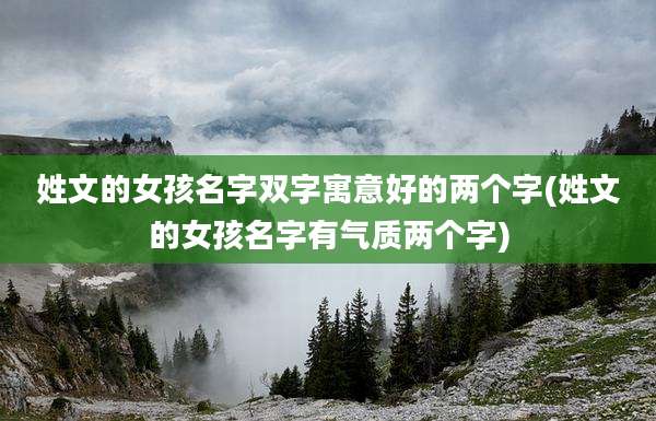 姓文的女孩名字双字寓意好的两个字(姓文的女孩名字有气质两个字)