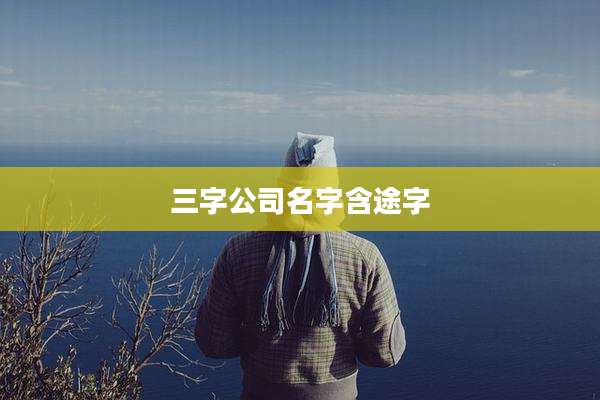 三字公司名字含途字