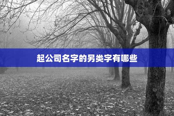 起公司名字的另类字有哪些