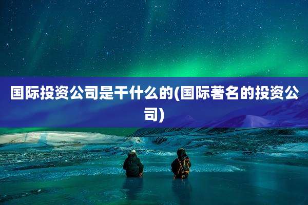 国际投资公司是干什么的(国际著名的投资公司)