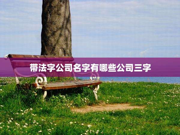 带法字公司名字有哪些公司三字