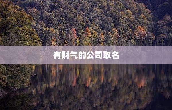有财气的公司取名