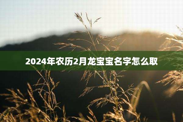 2024年农历2月龙宝宝名字怎么取
