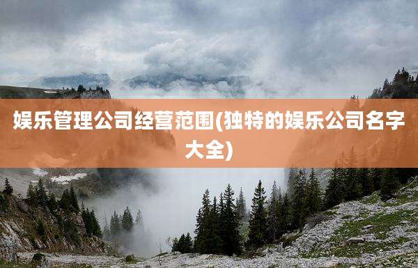 娱乐管理公司经营范围(独特的娱乐公司名字大全)