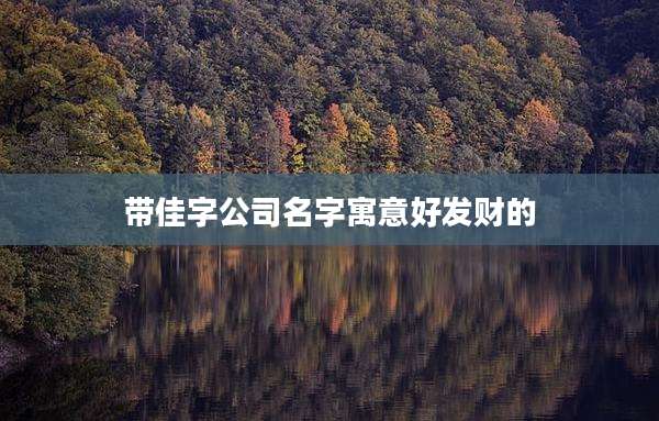 带佳字公司名字寓意好发财的