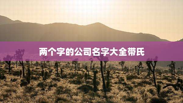 两个字的公司名字大全带氏