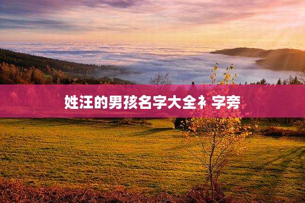 姓汪的男孩名字大全衤字旁