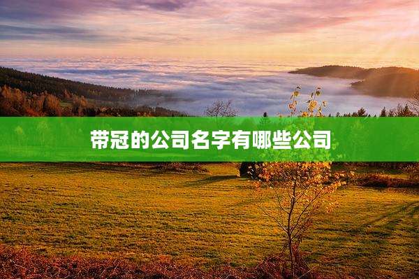 带冠的公司名字有哪些公司