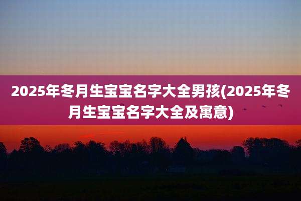 2025年冬月生宝宝名字大全男孩(2025年冬月生宝宝名字大全及寓意)