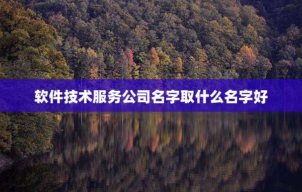 软件技术服务公司名字取什么名字好