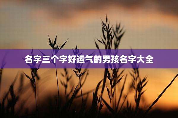 名字三个字好运气的男孩名字大全