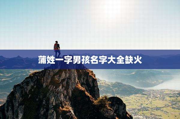 蒲姓一字男孩名字大全缺火