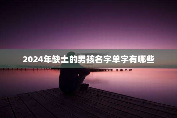 2024年缺土的男孩名字单字有哪些