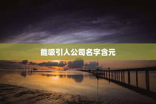 能吸引人公司名字含元