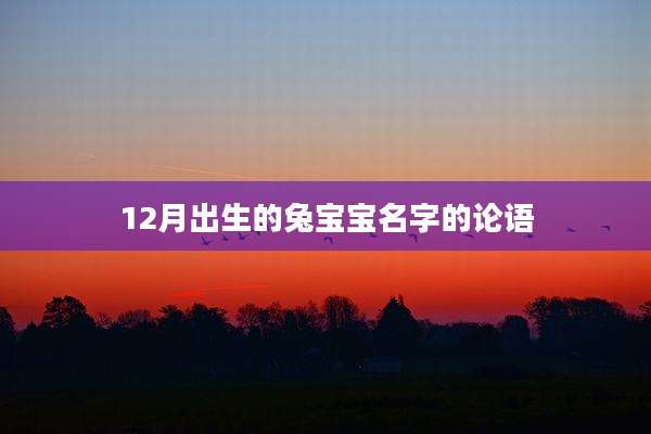12月出生的兔宝宝名字的论语