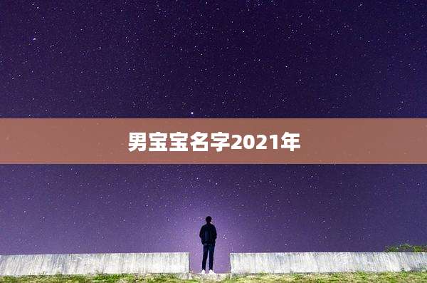 男宝宝名字2021年