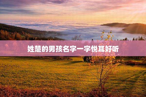 姓楚的男孩名字一字悦耳好听