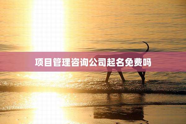 项目管理咨询公司起名免费吗