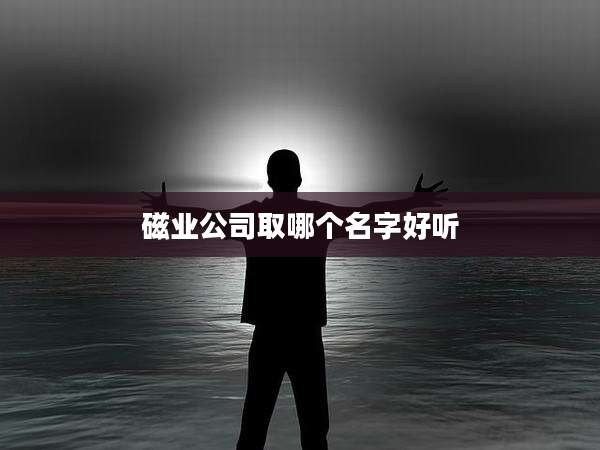 磁业公司取哪个名字好听