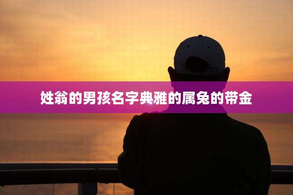 姓翁的男孩名字典雅的属兔的带金
