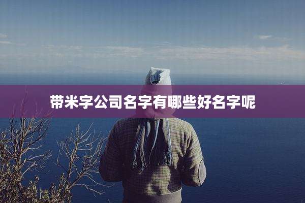 带米字公司名字有哪些好名字呢
