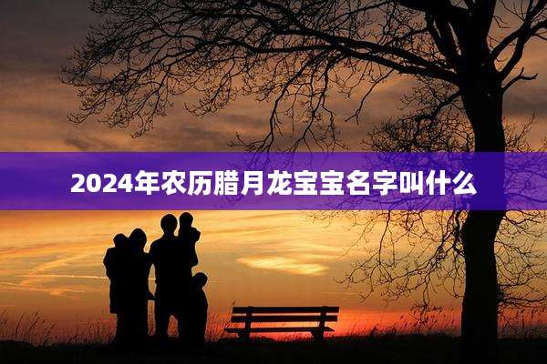 2024年农历腊月龙宝宝名字叫什么