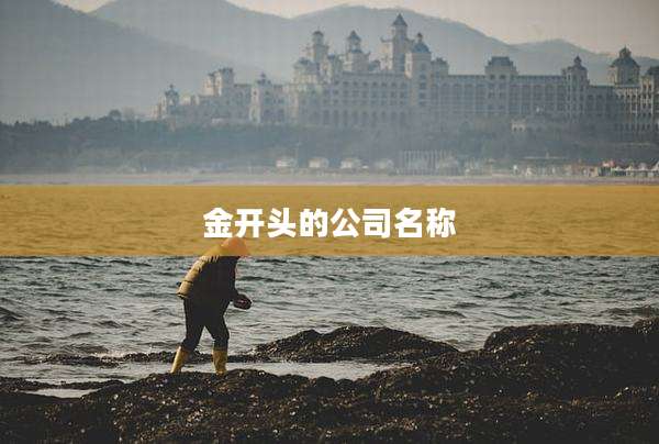 金开头的公司名称