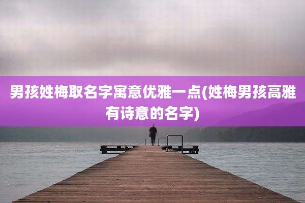 男孩姓梅取名字寓意优雅一点(姓梅男孩高雅有诗意的名字)