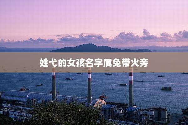 姓弋的女孩名字属兔带火旁