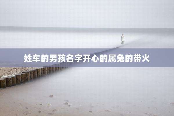 姓车的男孩名字开心的属兔的带火