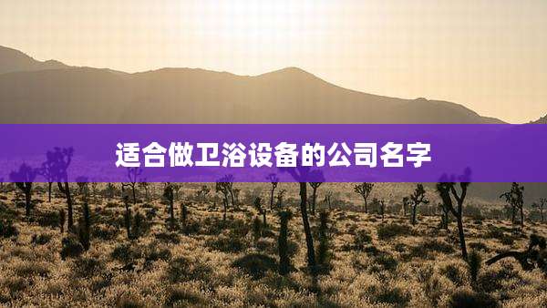 适合做卫浴设备的公司名字