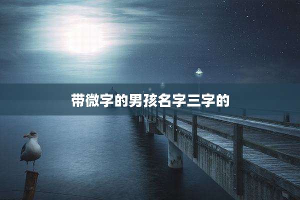 带微字的男孩名字三字的