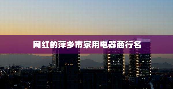 网红的萍乡市家用电器商行名