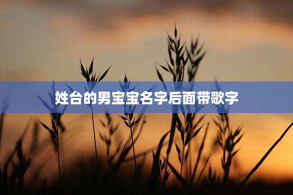 姓台的男宝宝名字后面带歌字
