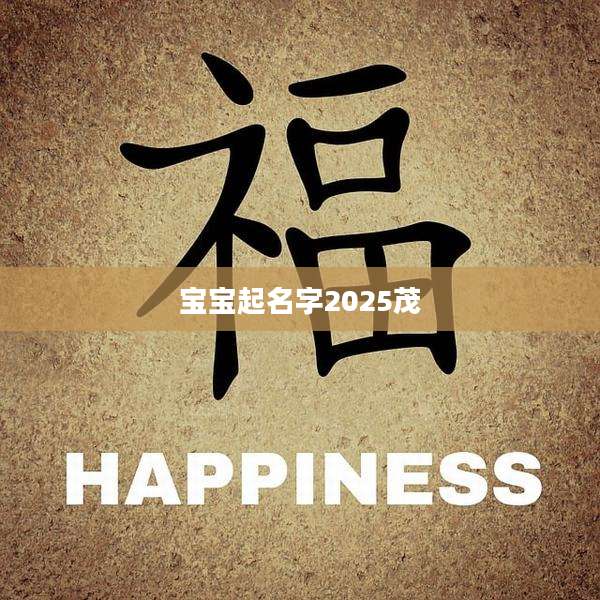 宝宝起名字2025茂