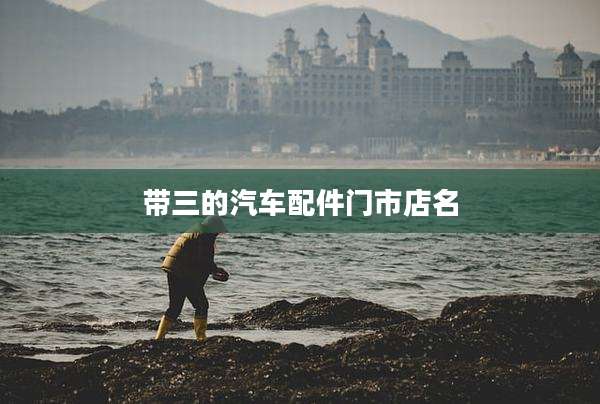 带三的汽车配件门市店名