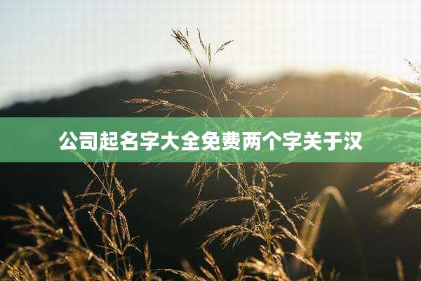 公司起名字大全免费两个字关于汉