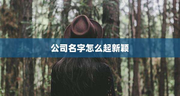 公司名字怎么起新颖