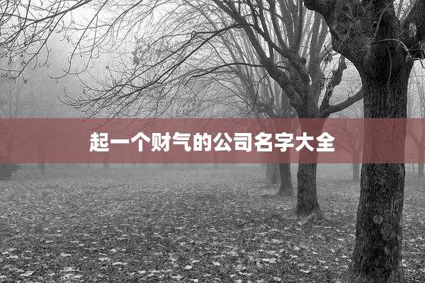 起一个财气的公司名字大全