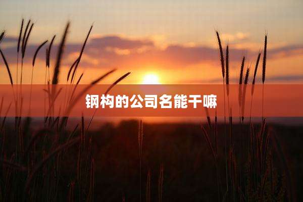 钢构的公司名能干嘛