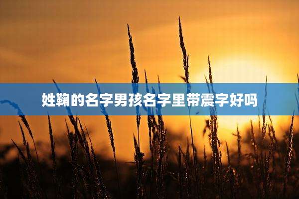 姓鞠的名字男孩名字里带震字好吗