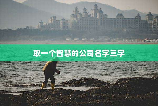 取一个智慧的公司名字三字
