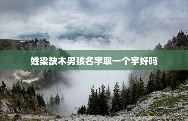 姓梁缺木男孩名字取一个字好吗