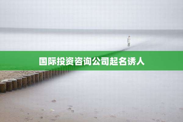 国际投资咨询公司起名诱人