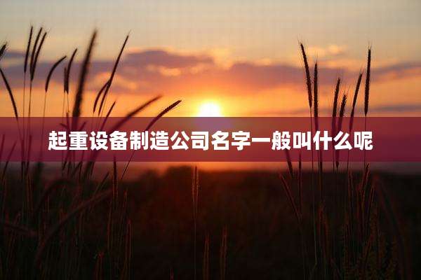 起重设备制造公司名字一般叫什么呢